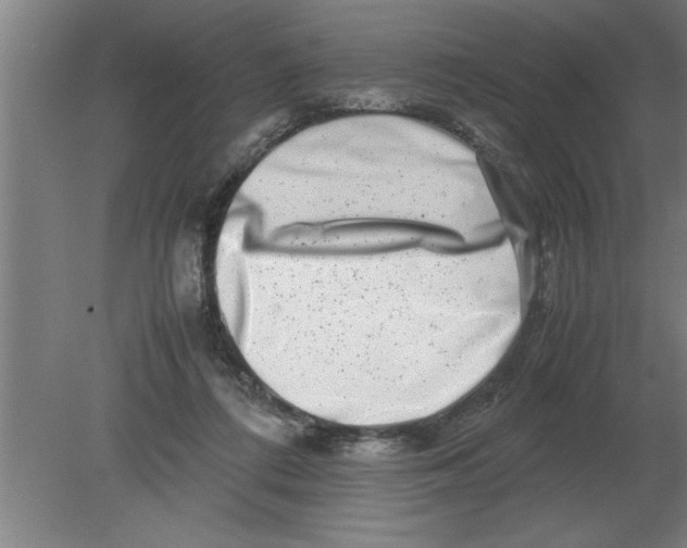 X0000080110312200612301950