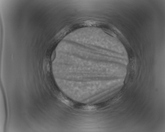 X0000080110313200612301950