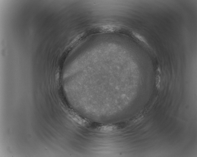 X0000080110314200612301950