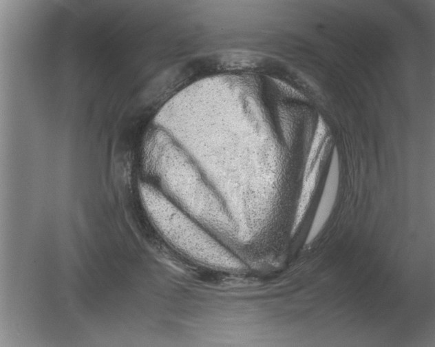 X0000080110315200612301950