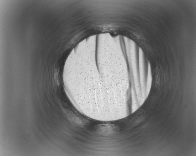 X0000080110316200612301950