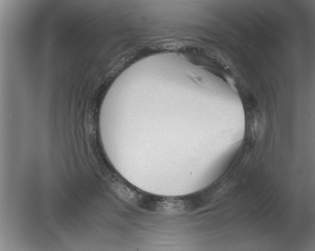 X0000080110317200612301950