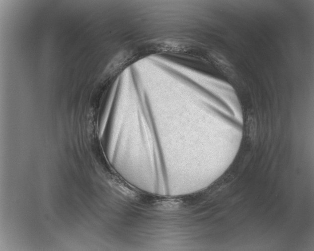 X0000080110318200612301950