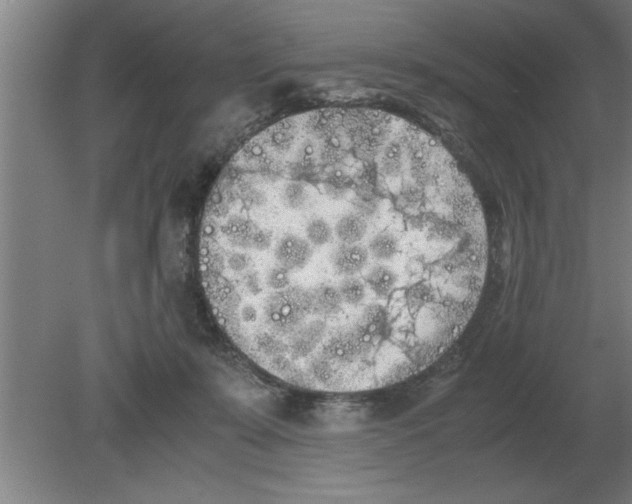 X0000080110319200612301950