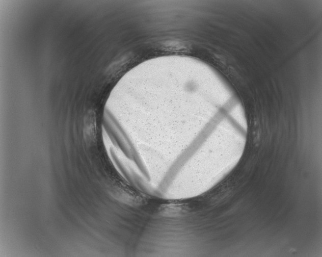 X0000080110320200612301950