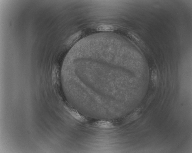 X0000080110322200612301950