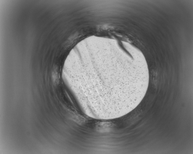 X0000080110324200612301950