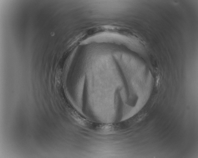 X0000080110325200612301950