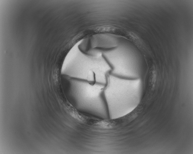 X0000080110326200612301950