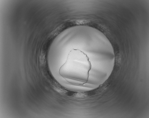 X0000080110327200612301950