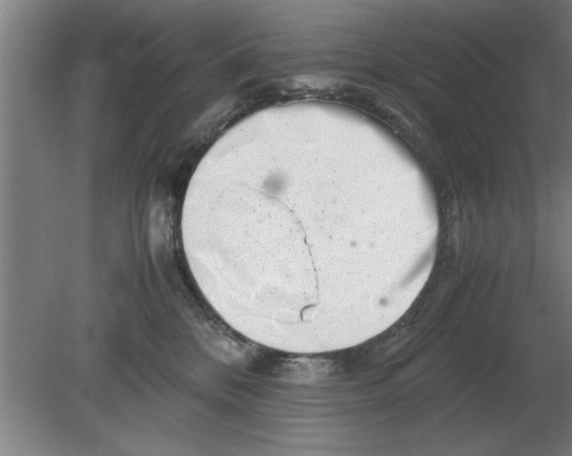 X0000080110328200612301950