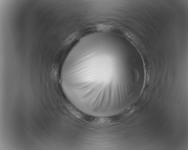 X0000080110329200612301950