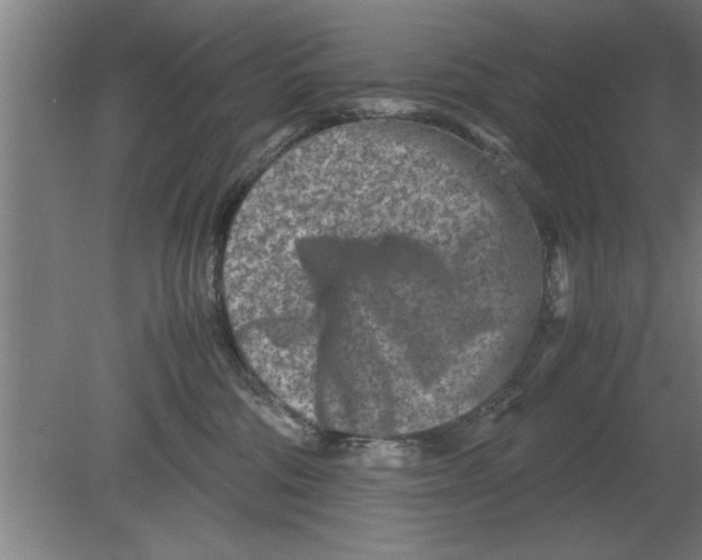 X0000080110330200612301950