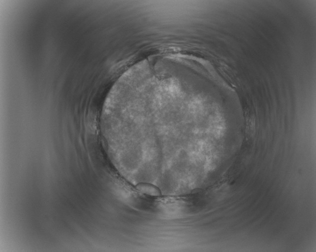 X0000080110331200612301950