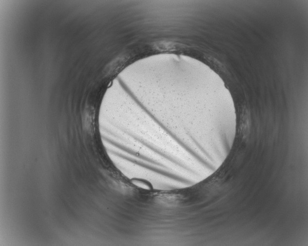 X0000080110332200612301950