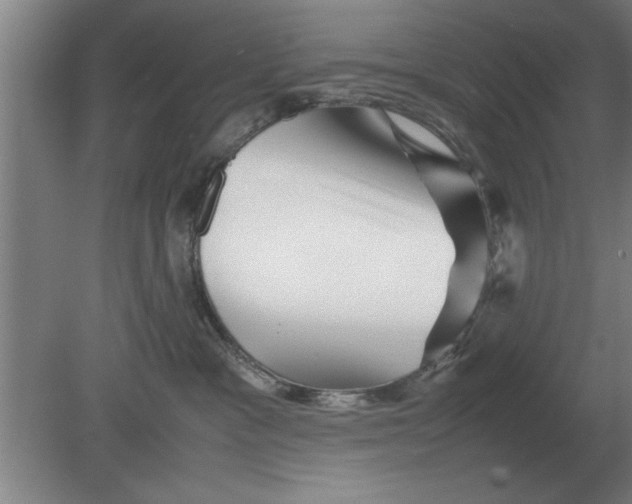 X0000080110333200612301950