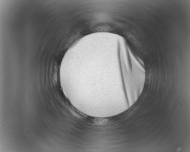 X0000080110334200612301950