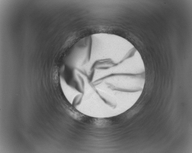 X0000080110336200612301950