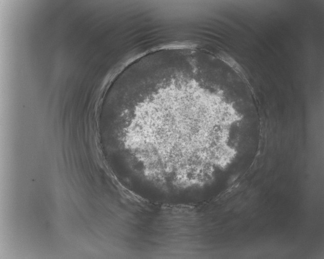 X0000080110337200612301949