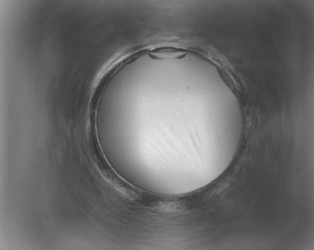 X0000080110344200612301949