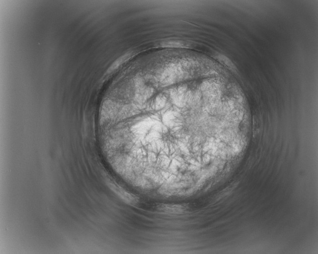 X0000080110349200612301949