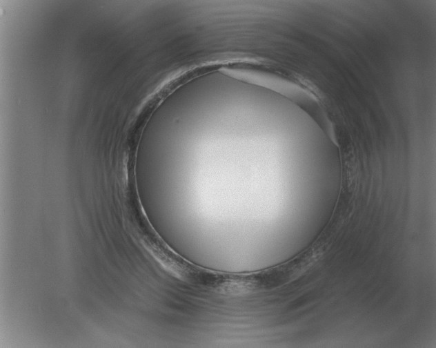 X0000080110350200612301949