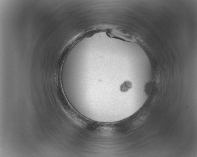 X0000080110352200612301949