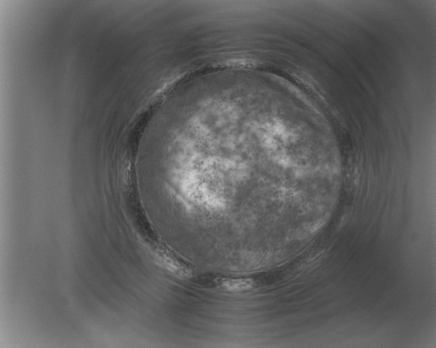 X0000080110355200612301949