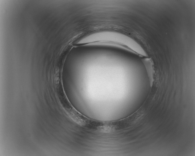 X0000080110356200612301949