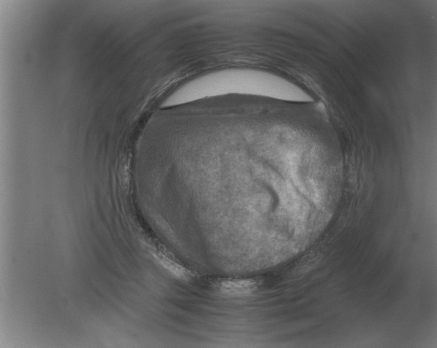 X0000080110357200612301949