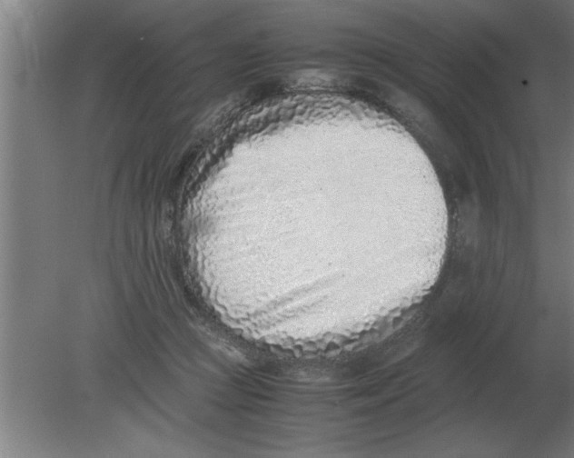 X0000080110361200612301950