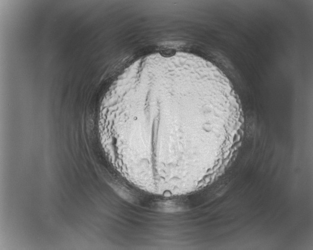 X0000080110365200612301950