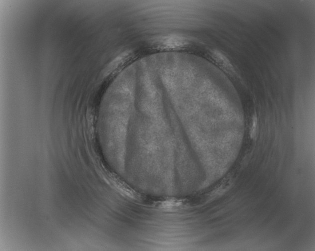 X0000080110366200612301950