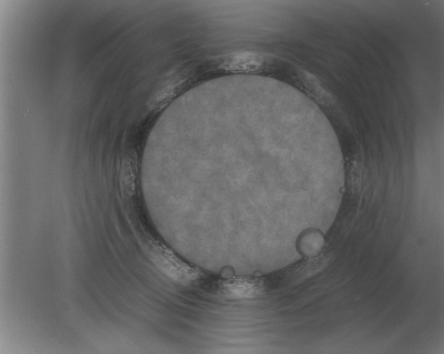 X0000080110370200612301950