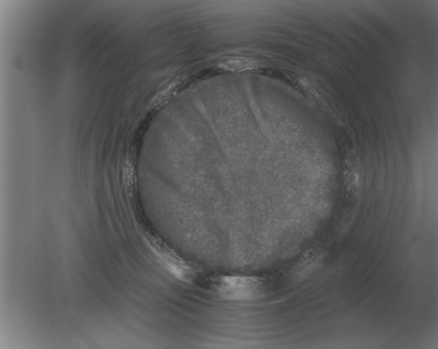 X0000080110371200612301950