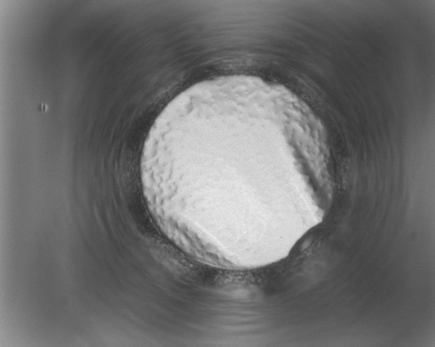 X0000080110372200612301950