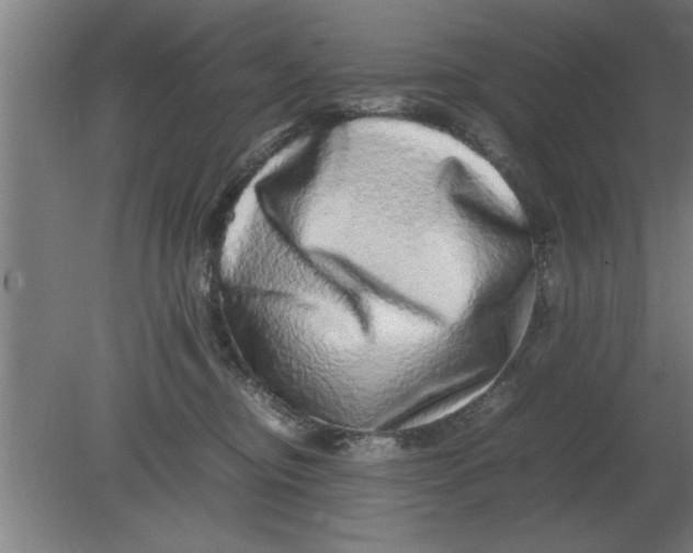 X0000080110374200612301950