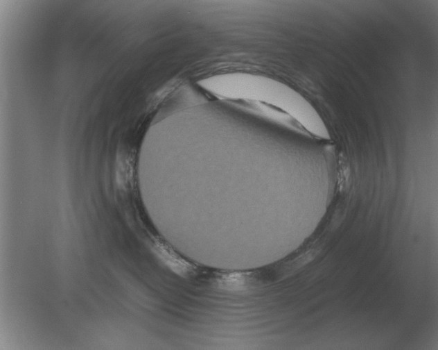 X0000080110382200612301950