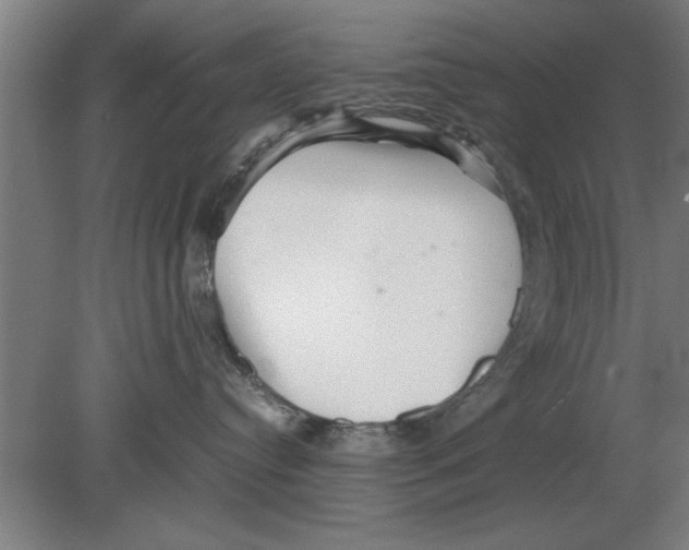 X0000080110384200612301950