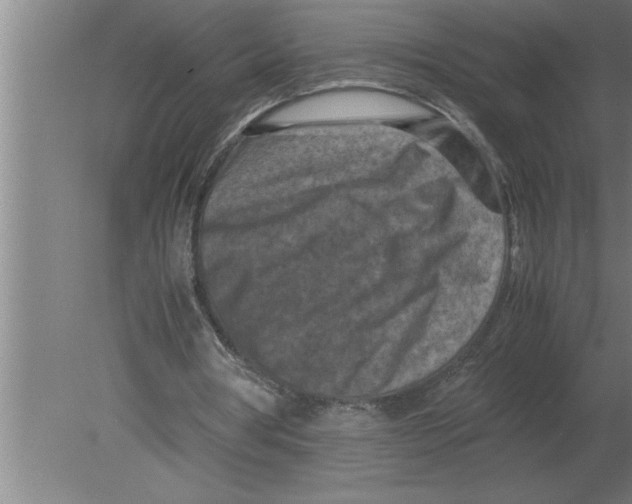 X0000080110386200612301949