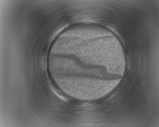 X0000080110390200612301949