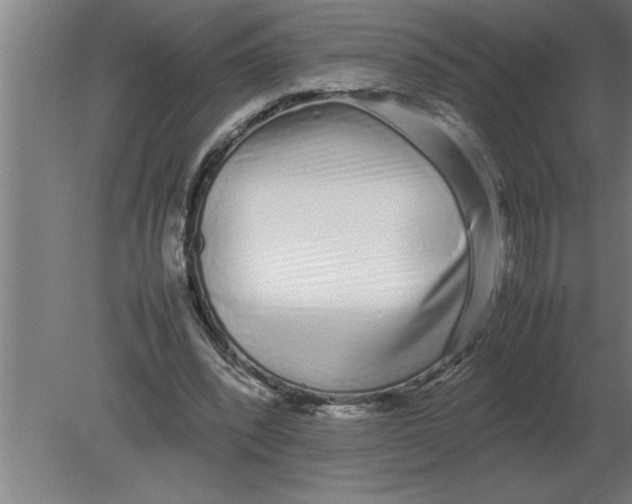 X0000080110392200612301949