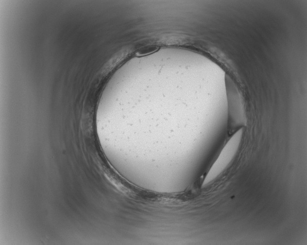 X0000080110393200612301949