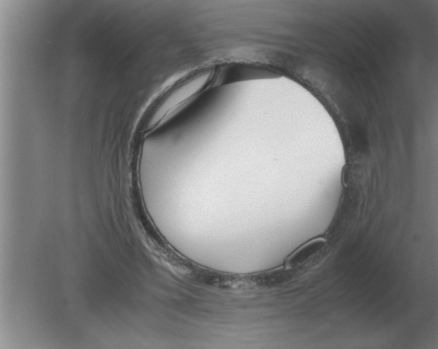 X0000080110395200612301949