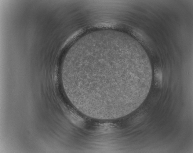 X0000080110396200612301949