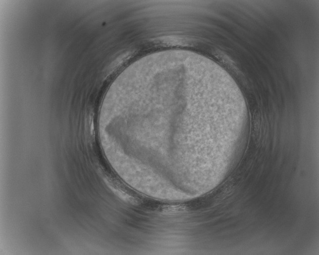 X0000080110398200612301949