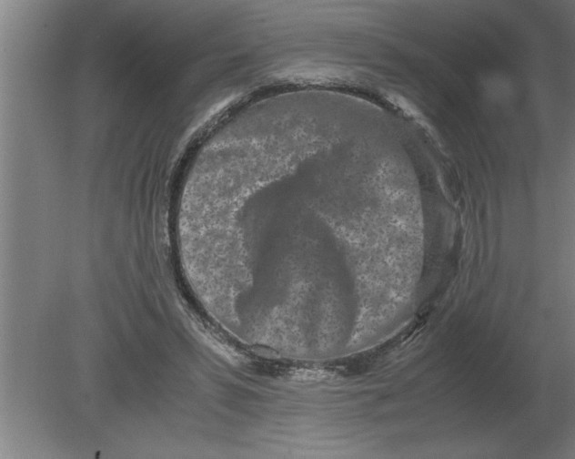 X0000080110399200612301949