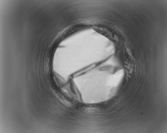 X0000080110400200612301949