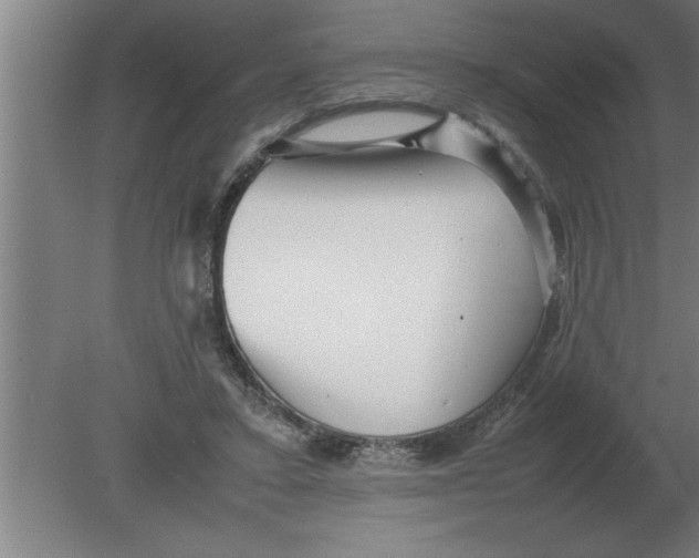 X0000080110403200612301949