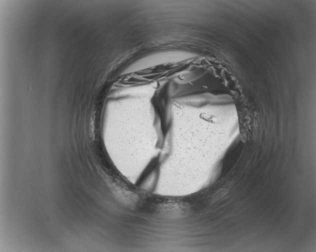 X0000080110404200612301949